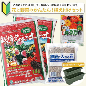 O[J[e͔|Zbg  65cm v^[2lbg2t |{y  엿̃Zbg ΂̃J[e