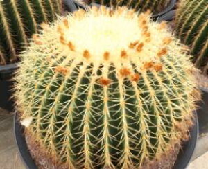 LV`@V`@́@T{e 8E12@Vzj ^@CeA@@zj@A@ _꒼mGn@lC@@I@bNK[f@hCK[f