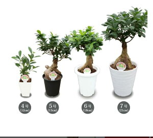 KW}@4E5E6E7 ϗtA CeA@@zj@A@ _꒼mGn@@c@v