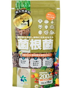 ۍ 200ml 1`5Zbg } ϗtA  C`S ʎ Jr LmR A[oXL[ۍ aC\h R͓yǁ@yɃvX1 [RpȊw]