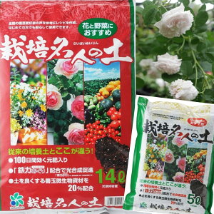 [RpȊw] oɂg ͔|l̓y 5L 14L *100o̓y KN̓y py [RpȊw]