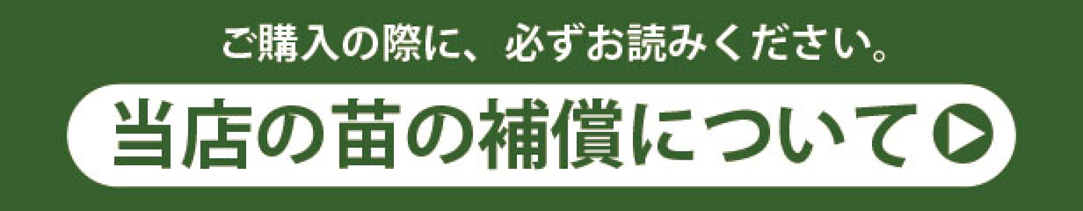 当店の苗の補償について