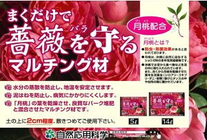 ܂KN}`O 5L/14L z aC\hD͂˖h~ h~ n y ͂ _aRpȊw o }`O o[N͔