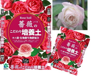 [RpȊw] KN̂|{y 5L 14L  KN̓y Jjk L@Qz o py o̓y L` o̗py000254