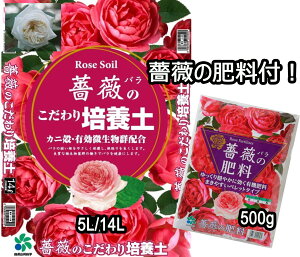 [RpȊw] KN̂|{y 5L 14L  KN̓y Jjk L@Qz o py o̓y L` o̗py000254