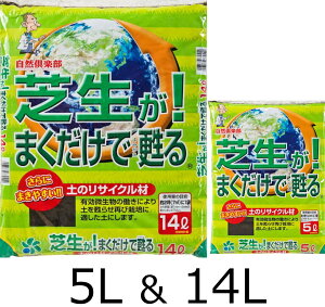 [RpȊw] ŐI܂S ỹTCN 5L/14L y Đ