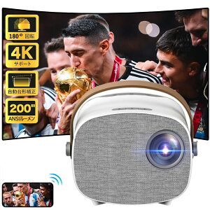 vWFN^[ ^ ƒp 4kΉ 1080PΉ `␳ y Android WIFI Bluetooth V \ Ze fAXs[J[ `␳Y[@\ HIFI ̓ v[g PSEF؍