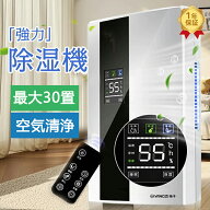 【楽天1位】除湿器 除湿機 空気清浄機 デシカント 衣類乾燥 空気清浄器 部屋干し 軽量 コンパクト 除湿乾…