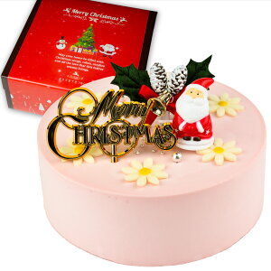 NX}XP[L 2025 ZCP[L zCg uE u[ sN p[v 4 a13.5cm 2l`4l NX}Xt XC[c Mtg Xmas z[P[L  LO 蕨 킢