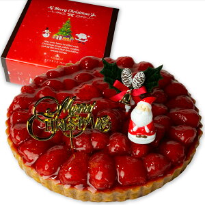 NX}XP[L 2025  ̃R|[g ^gP[L IׂTCY 4 5 6yNX}X tz XC[c Mtg  Xmas