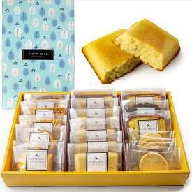 焼き菓子 ギフト フィナンシェ 詰め合わせ 手提げ袋付 スイーツ ケーキ 洋菓子 贈り物 冠婚葬祭 ご挨拶 個包装 贈答用 パウンドケーキ お菓子 食べ物 アーモンド クッキー お祝い プレゼント ハロウィン 誕生日 クリスマス お歳暮 年末年始 お年賀