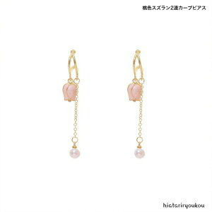 FXY2AJ[usAX@@sAX fB[XANZT[ v[g ޏ  a NX}X l   w  Ǝ@gh@闖