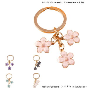 gvt[L[OEL[`F[@@L[z_[@킢@obO`[@v[g@ԁ@fB[X@Mtg@@K[[@NX}X@a@v