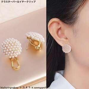 NX^[r[YC[Nbv@VZ[@l@킢@CJt@CO@p[eB[@i@v[g@I