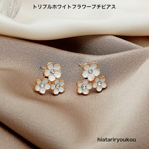 gvzCgt[v`sAXsAX fB[XANZT[ v[g ޏ  a NX}X l   w  Ǝ