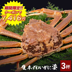 ＼ 期間限定!!クーポンで7,416円!! ／ 送料無料 カニ味噌付き 【 生ずわい蟹 姿 3杯 (item-16) 】 (1.8kg) かに カニ 蟹 ズワイガニ かに 姿 甲羅 蟹味噌 蟹みそ カニ味噌 業務用 カニ 生 ズワイカニ鍋 在庫処分 フードロス 母の日 プレゼント BBQ バーベキュー 海鮮