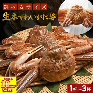 10%OFFN[|7,416~` Gg[P10{I  JjXt y 킢p 1.3`2kg (item-16) z  Jj I YCKj  p b IX I݂ JjX Ɩp Jj  YCJ