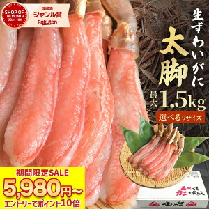 _ ňSALE 5,980~|Cg10{ ^  y v~A YCKj r_̂100% 500g`1.5kg z t|[V hgOK 킢 |[V Jj I  ނg hg Hp 