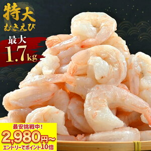 ň풆I2,980~` ɃGg[P10{I y ނ ő 1.7kg / 850g ( item-29 )z  ނ  Ⓚ ނGr ނCV LGr sv oiC Gr  CV Ɩ