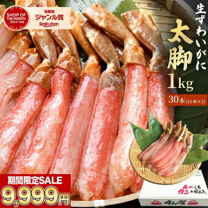 zȉN[|9,999~I  y v~A YCKj r_̂100% 1kg (item-11-2)z hgOK |[V 킢 Jj I ނg hg Hp  |[V YCKj Ⓚ 