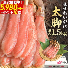 ＼ 最安挑戦！送料無料 5,980円〜+ポイント10倍！ ／【 プレミアム ズワイガニ 太脚棒肉のみ100% 500g〜1.5kg 】 フルポーション お刺身OK 本ズワイ 本ズワイガニ ずわいがに ポーション 蟹しゃぶ カニ 蟹 かに むき身 刺身 生食用 生 ポーション ギフト