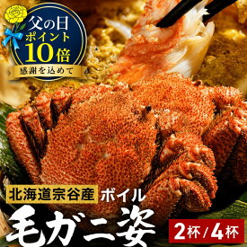 ＼ 父の日 エントリーでP10倍／ ボイル 毛ガニ 姿 1kg / 2kg 送料無料 【 毛ガニ姿 2杯/4杯 】 北海道 宗谷 国産 毛蟹 カニみそ 蟹味噌 冷凍 特大 カニ 茹で プレゼント 海鮮 食品 蟹 訳あり トゲクリカニ かに それカニ ギフト 父の日 お中元