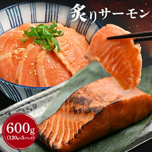 y tT[ 600g (120g×5pbN) iitem-43-5jz T[ubN t hg  T[  VP Ⴏ Ȃ ^ CN Mtg Ε ΕMtg 