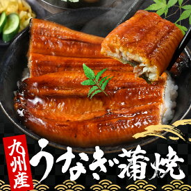 ＼エントリーで最大P10倍／ ＼店内の送料無料商品と同時購入で 送料無料 に！／ 九州産 うなぎ 蒲焼き 1尾 160g 〜 タレ / 山椒 付き 【 うなぎ蒲焼 (item-28-1/item-28-2) 】 鰻 お取り寄せ うな丼 国産 蒲焼 冷凍 それカニ 訳あり ウナギ unagi 鹿児島 宮崎 南九州