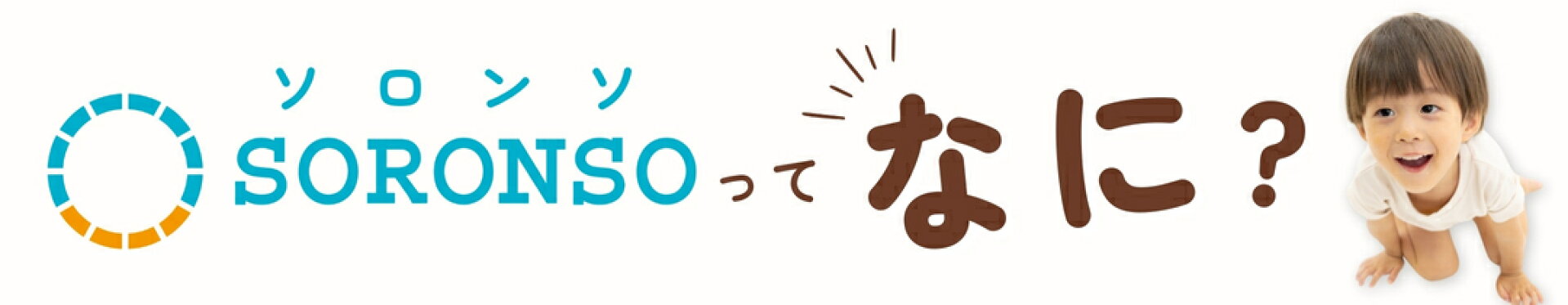 ソロンソってなに？【大バナー】