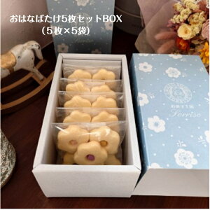 NbL[@͂Ȃ΂5ZbgBOX(5×5)@킢@w@j@NbL[lߍ킹@v[g@yY@Ăَq@j@ЂƂTCY@ޖLx@@َqH[