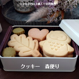 クッキー 　クッキー缶　森便り　フクロウ　バレンタインデー　入学式　お祝い　プチプレゼント　焼き菓子　焼き菓子　 焼き菓子詰め合わせ 　ギフト　 お取り寄せ　 おみやげ　 かわいいおやつ スイーツ 洋菓子 手作り 体に優しい　お菓子工房sorriso