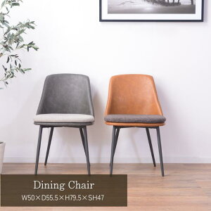 `FA _CjO`FA ֎q CX _CjO X`[ \tgU[ 50cm X^CbV A[X CguE _[NO[  NVbN J [J[i