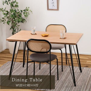 _CjOe[u 120×80 72cm 120cm s60cm X`[  C_XgA Vv ` i` _CjO e[u J [J[i