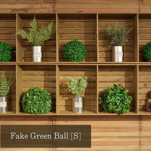 tFCNO[{[ tFCNO[ STCY  G  rO  CeA  K[f i` 