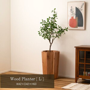 Ebhv^[ LTCY v^[ ؐ VR ~fB ꕨ Jo[ ϗtA  CeA CeAG   Vv i` i uE J [J