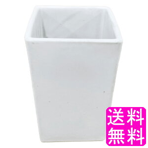 yzyʌz  Aؔ  p^  3 D  |Cg 1000~|bL a8.5cm [^ 픫  O Aؔ  p픫 | ϗtA Ԋ   ~