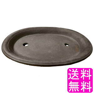 yzyʌz ~͔   11   a26cm×33.3cm ~  픫 Aؔ  M  a ی` ȉ~` ^ ^ ~ | ϗtA K[fjO A