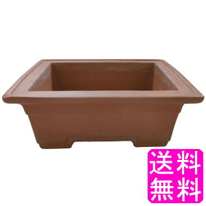 yzyʌz ~͔   4   |Cg 1000~|bLa10.4cm×13cm ~  픫 Aؔ  M  a p^ ^ ~ | ϗtA K[fj