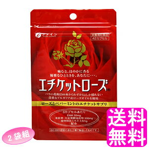 yz G`Pbg[Y y2ܑgz t@C G`Pbg G`PbgTv ̃jIC L L ̏L L Ĥׂ̃jIC H VbgAEg ỏ o̍ 