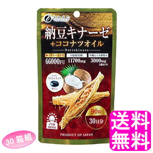 yz [Li[[{RRicIC y30ܑgz t@C [Li[[ ibgELi[[ RRicIC RRibcIC ݐ| NG_ A~m_ b_ \tgJv