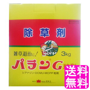 yzyʌz pG  3kg  ɐ  G _knp  뉀 ԏ H ^ n̎Gގ