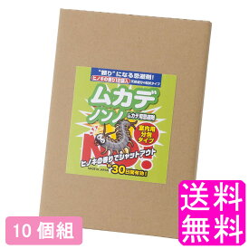 楽天市場 ムカデ対策 室内 花 ガーデン Diy の通販