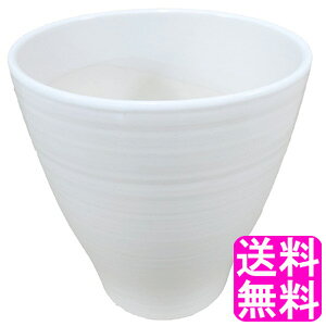 yzyʌz Aؔ   6.5   a19cm×21.5cm ^  _C 픫  O Aؔ  ۓ픫 | ϗtA K[fjO CeA rO 