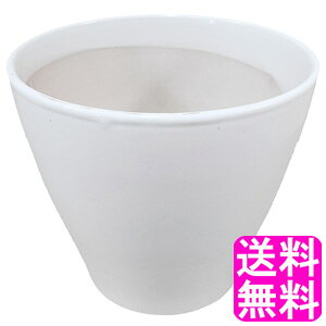 yzyʌz Aؔ   5.5   a17cm×16cm ^  픫  O Aؔ  ۓ픫 | ϗtA K[fjO CeA rO Aւ 