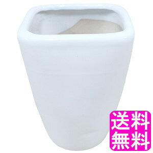 yzyʌz Aؔ   3 B a9cm×12cm ^  픫  O Aؔ  ۓ픫 | ϗtA K[fjO CeA rO Aւ 