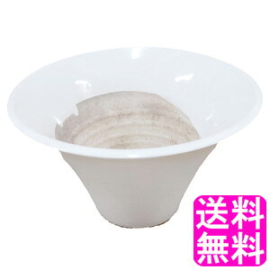 yzyʌz Aؔ   7 A  a21cm×12cm  픫  O Aؔ  ۓ픫 | ϗtA K[fjO CeA rO Aւ Jo
