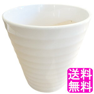 yzyʌz Aؔ   8.5 A  a25.5`26.5cm   O Aؔ ۓ픫 | ϗtA K[fjO CeA rO Aւ Jo[  z
