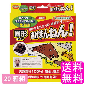 yz ܂˂! Ō`^Cv y20gz ZCR[Y ܂˂ Qb Q   ǌ ǔL  CmVV O wr C^` Lcl lY~ RE VJ  V