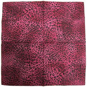 �o���_�i[ �q���E�� ]06AC0027