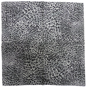�o���_�i[ �q���E�� ]06AC0027